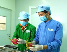 TOP 7 NÔNG SẢN VIỆT NAM ĐƯỢC KỲ VỌNG DẪN DẮT TĂNG TRƯỞNG XUẤT KHẨU GIAI ĐOẠN 2026-2030