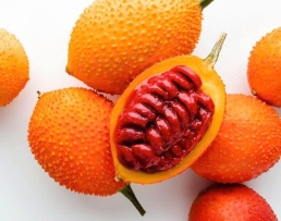 GẤC LÀ GÌ?