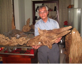 Điều gì khiến kỳ nam đắt khủng khiếp?