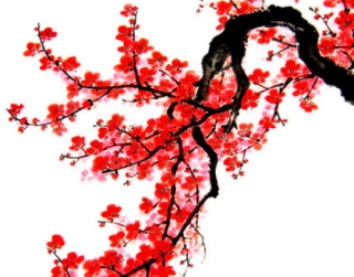 Chùm thơ Xuân Đinh Dậu, chúc mừng năm mới 2017