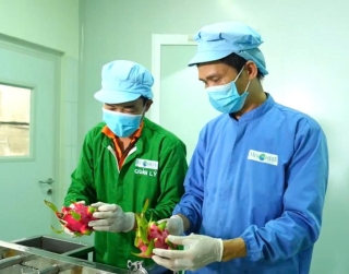 TOP 7 NÔNG SẢN VIỆT NAM ĐƯỢC KỲ VỌNG DẪN DẮT TĂNG TRƯỞNG XUẤT KHẨU GIAI ĐOẠN 2026-2030