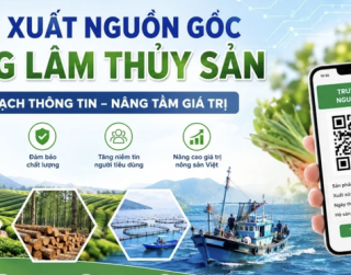 NÔNG SẢN VIỆT BƯỚC VÀO CUỘC ĐUA CHẤT LƯỢNG: TRUY XUẤT NGUỒN GỐC TRỞ THÀNH "TẤM VÉ" CHINH PHỤC THỊ TRƯỜNG QUỐC TẾ
