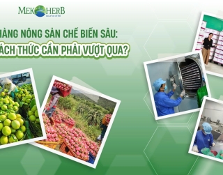 NGÀNH HÀNG NÔNG SẢN CHẾ BIẾN SÂU:  ĐÂU LÀ THÁCH THỨC CẦN PHẢI VƯỢT QUA? 
