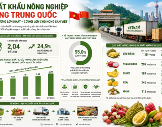 RAU QUẢ VIỆT NAM TRƯỚC ÁP LỰC CẠNH TRANH TẠI TRUNG QUỐC: DOANH NGHIỆP CẦN LÀM GÌ ĐỂ GIỮ LỢI THẾ?