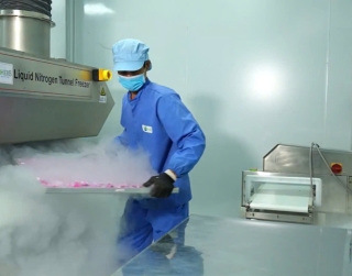 SẤY THĂNG HOA (FREEZE DRYING)