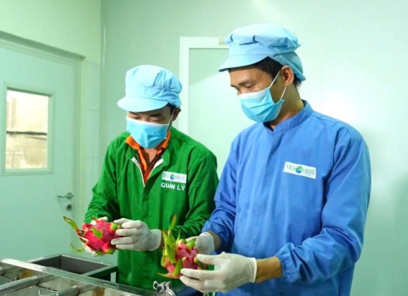TOP 7 NÔNG SẢN VIỆT NAM ĐƯỢC KỲ VỌNG DẪN DẮT TĂNG TRƯỞNG XUẤT KHẨU GIAI ĐOẠN 2026-2030