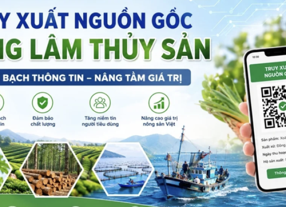 NÔNG SẢN VIỆT BƯỚC VÀO CUỘC ĐUA CHẤT LƯỢNG: TRUY XUẤT NGUỒN GỐC TRỞ THÀNH "TẤM VÉ" CHINH PHỤC THỊ TRƯỜNG QUỐC TẾ
