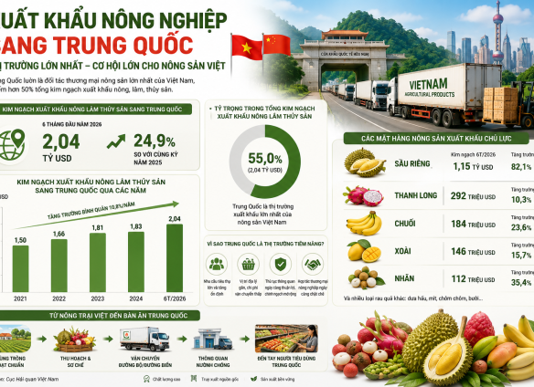 RAU QUẢ VIỆT NAM TRƯỚC ÁP LỰC CẠNH TRANH TẠI TRUNG QUỐC: DOANH NGHIỆP CẦN LÀM GÌ ĐỂ GIỮ LỢI THẾ?