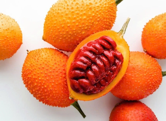GẤC LÀ GÌ?
