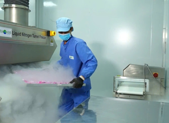 SẤY THĂNG HOA (FREEZE DRYING)