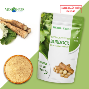 BỘT NGƯU BÀNG CHIẾT XUẤT