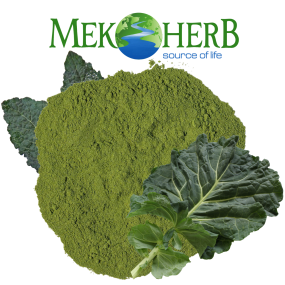 BỘT CẢI KALE