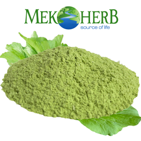 BỘT CẢI BẸ XANH THĂNG HOA
