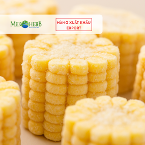 BẮP MỸ CẤP ĐÔNG