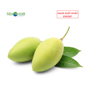 XOÀI CÁT CHU TƯƠI