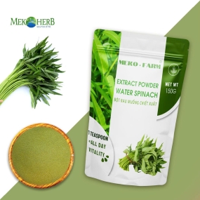 BỘT RAU MUỐNG CHIẾT XUẤT