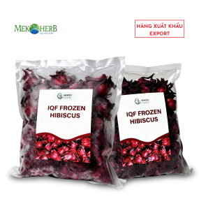 HOA ATISO ĐỎ CẤP ĐÔNG