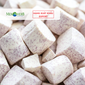 KHOAI MÔN CẤP ĐÔNG