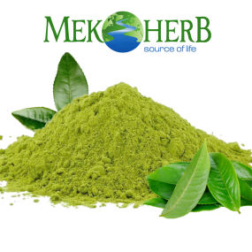BỘT MATCHA CHIẾT XUẤT
