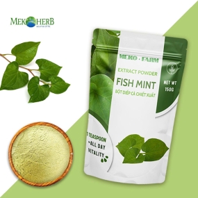 BỘT RAU DIẾP CÁ CHIẾT XUẤT