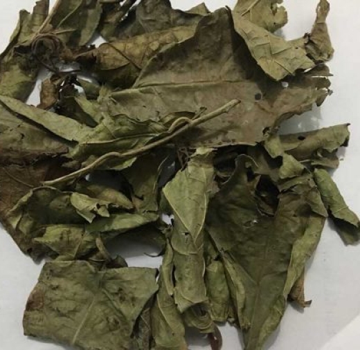 LÁ XẠ ĐEN KHÔ