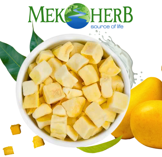 XOÀI SỮA CHUA SẤY THĂNG HOA