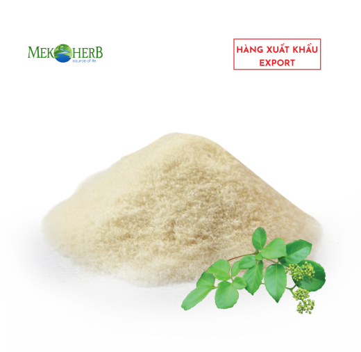 BỘT CHÈ DÂY CHIẾT XUẤT