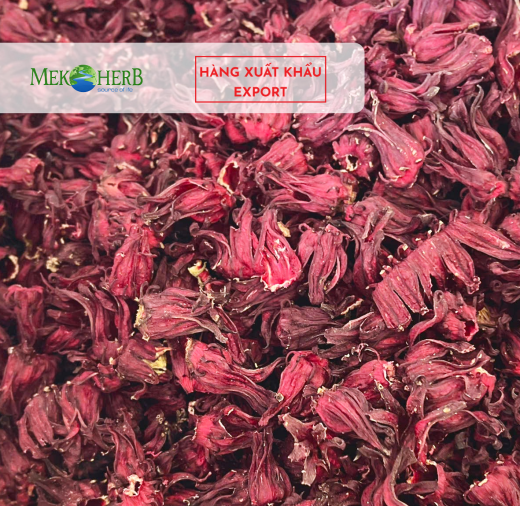 HOA ATISO ĐỎ SẤY KHÔ