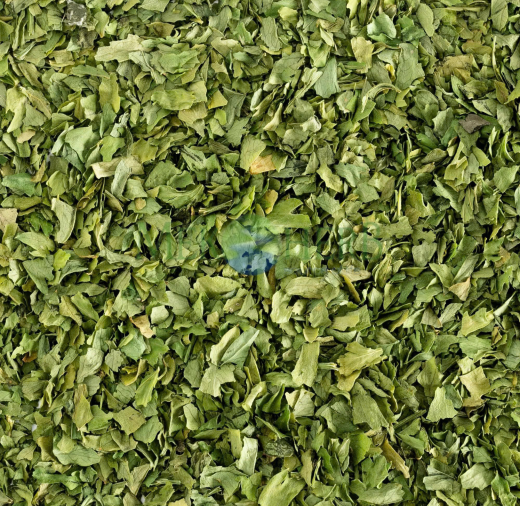 CẦN TÂY SẤY KHÔ