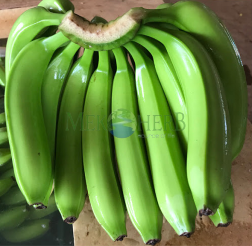 CHUỐI CAVENDISH TƯƠI