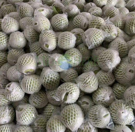 ỔI TƯƠI