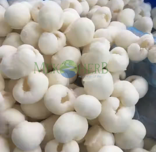 LONG NHÃN CẤP ĐÔNG 