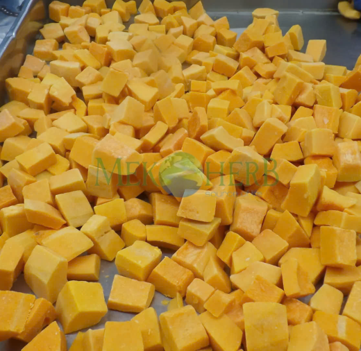 BÍ ĐỎ CẤP ĐÔNG