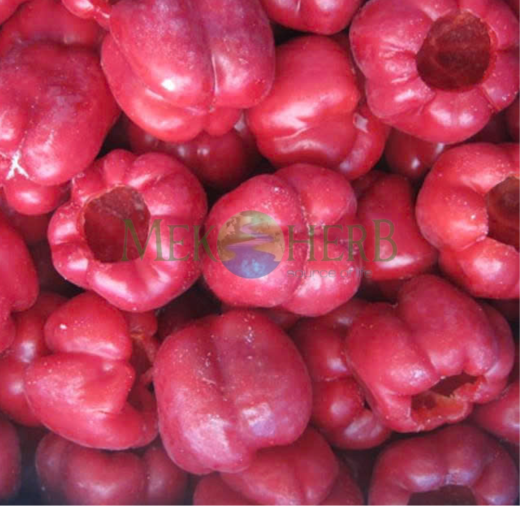 ỚT CHUÔNG ĐỎ CẤP ĐÔNG