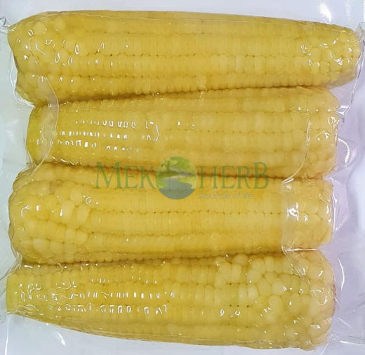 BẮP MỸ CẤP ĐÔNG