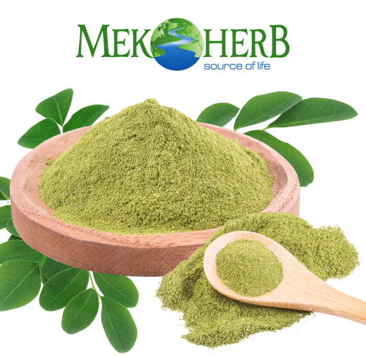 Bột Chùm Ngây Chiết Xuất