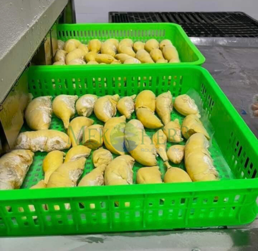 SẦU RIÊNG CẤP ĐÔNG