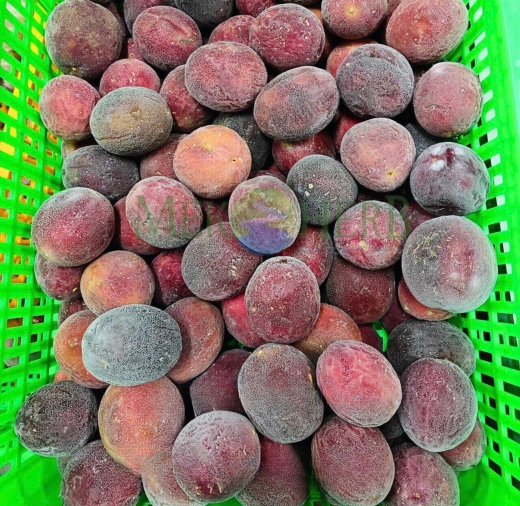 CHANH DÂY CẤP ĐÔNG