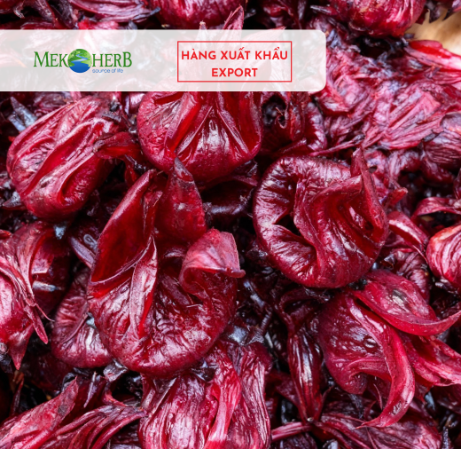 HOA ATISO ĐỎ SẤY DẺO