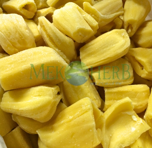 MÍT CẤP ĐÔNG