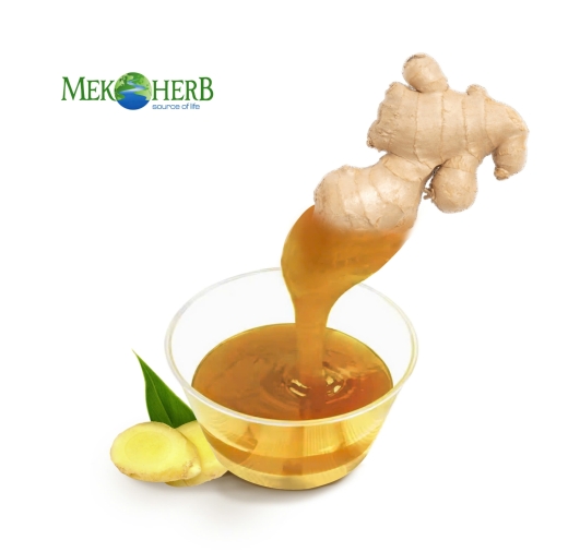 NƯỚC ÉP GỪNG CÔ ĐẶC