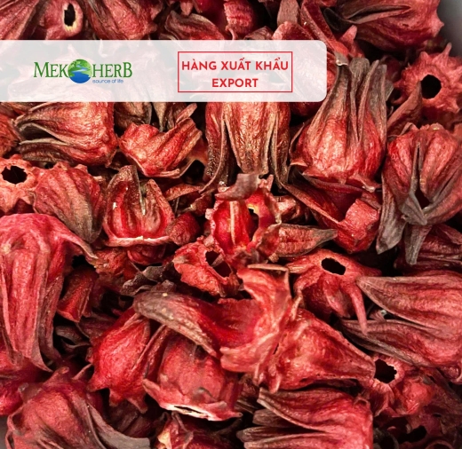 HOA ATISO ĐỎ SẤY THĂNG HOA