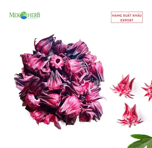 HOA ATISO ĐỎ SẤY THĂNG HOA