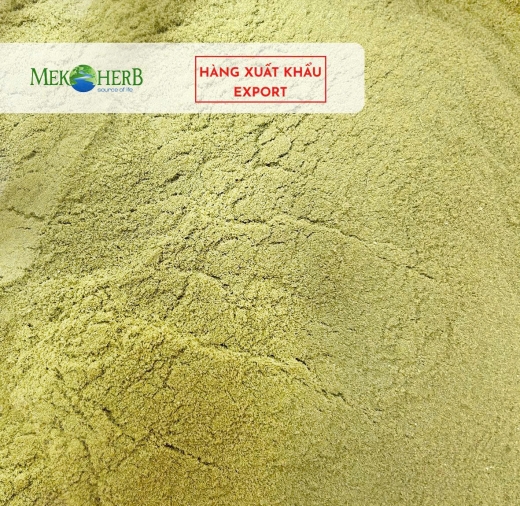 BỘT RAU DIẾP CÁ CHIẾT XUẤT