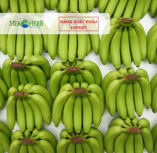 CHUỐI CAVENDISH TƯƠI