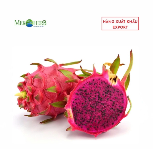 THANH LONG ĐỎ TƯƠI