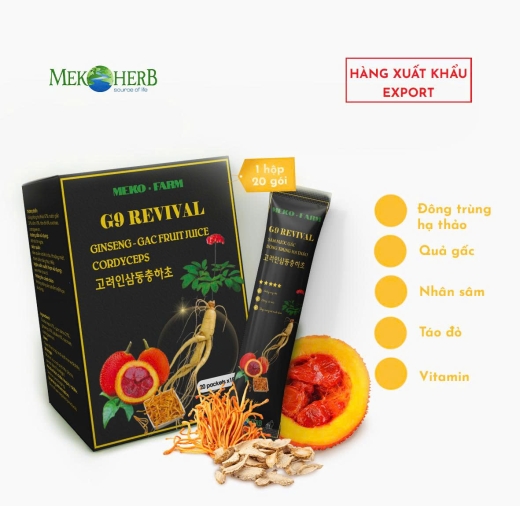 SÂM GẤC ĐÔNG TRÙNG HẠ THẢO