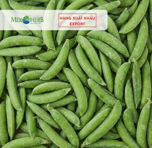 ĐẬU HÀ LAN CẤP ĐÔNG